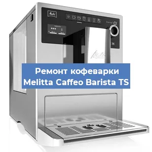 Чистка кофемашины Melitta Caffeo Barista TS от накипи в Нижнем Новгороде